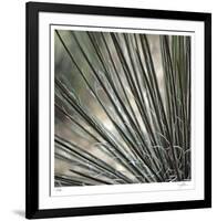 Yucca 12-Ken Bremer-Framed Limited Edition