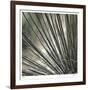 Yucca 12-Ken Bremer-Framed Limited Edition