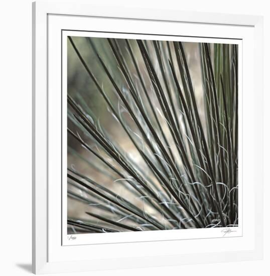 Yucca 12-Ken Bremer-Framed Limited Edition