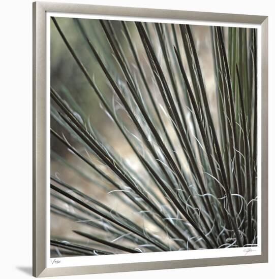 Yucca 12-Ken Bremer-Framed Limited Edition