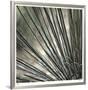 Yucca 12-Ken Bremer-Framed Limited Edition