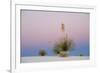 Yucca and 'Belt of Venus' atmospheric phenomenon at twilight, White Sands National Monument-Fritz Polking-Framed Photographic Print