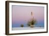 Yucca and 'Belt of Venus' atmospheric phenomenon at twilight, White Sands National Monument-Fritz Polking-Framed Photographic Print