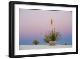 Yucca and 'Belt of Venus' atmospheric phenomenon at twilight, White Sands National Monument-Fritz Polking-Framed Photographic Print