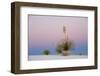 Yucca and 'Belt of Venus' atmospheric phenomenon at twilight, White Sands National Monument-Fritz Polking-Framed Photographic Print