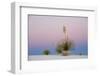 Yucca and 'Belt of Venus' atmospheric phenomenon at twilight, White Sands National Monument-Fritz Polking-Framed Photographic Print