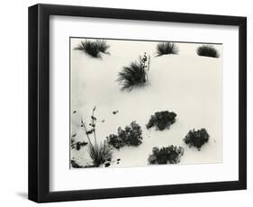 Yucca and Dunes, White Sands, 1946-Brett Weston-Framed Photographic Print