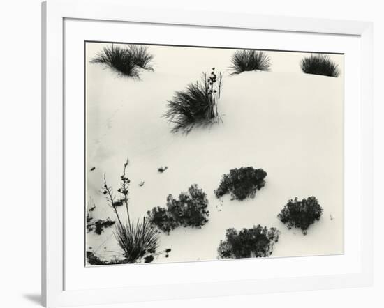 Yucca and Dunes, White Sands, 1946-Brett Weston-Framed Photographic Print