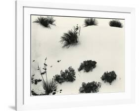 Yucca and Dunes, White Sands, 1946-Brett Weston-Framed Photographic Print