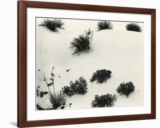 Yucca and Dunes, White Sands, 1946-Brett Weston-Framed Photographic Print