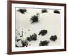 Yucca and Dunes, White Sands, 1946-Brett Weston-Framed Photographic Print