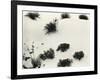 Yucca and Dunes, White Sands, 1946-Brett Weston-Framed Photographic Print