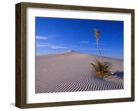 Yucca and Dunes, White Sands National Monument-Kevin Schafer-Framed Premium Photographic Print