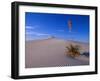 Yucca and Dunes, White Sands National Monument-Kevin Schafer-Framed Premium Photographic Print