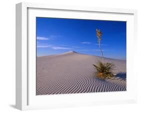 Yucca and Dunes, White Sands National Monument-Kevin Schafer-Framed Premium Photographic Print