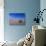 Yucca and Dunes, White Sands National Monument-Kevin Schafer-Photographic Print displayed on a wall