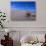 Yucca and Dunes, White Sands National Monument-Kevin Schafer-Photographic Print displayed on a wall