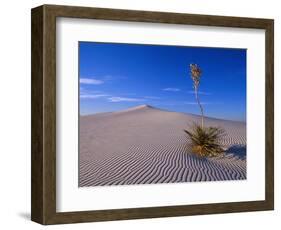 Yucca and Dunes, White Sands National Monument-Kevin Schafer-Framed Photographic Print