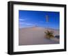 Yucca and Dunes, White Sands National Monument-Kevin Schafer-Framed Photographic Print