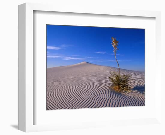 Yucca and Dunes, White Sands National Monument-Kevin Schafer-Framed Photographic Print