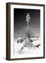 Yucca at White Sands I-Douglas Taylor-Framed Photographic Print