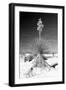 Yucca at White Sands I-Douglas Taylor-Framed Photographic Print