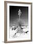 Yucca at White Sands I-Douglas Taylor-Framed Photographic Print