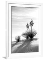 Yucca at White Sands II-Douglas Taylor-Framed Photographic Print