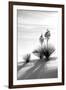 Yucca at White Sands II-Douglas Taylor-Framed Photographic Print