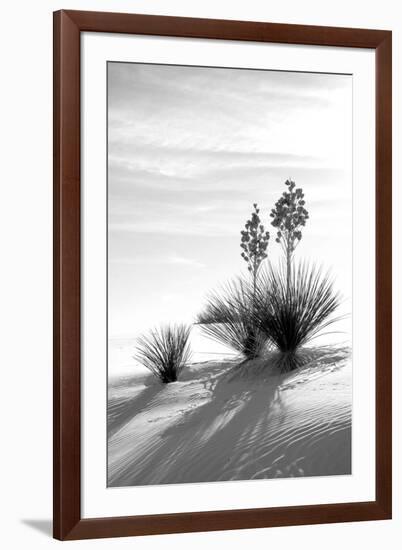 Yucca at White Sands II-Douglas Taylor-Framed Photographic Print