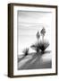 Yucca at White Sands II-Douglas Taylor-Framed Premium Photographic Print