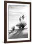 Yucca at White Sands II-Douglas Taylor-Framed Photographic Print