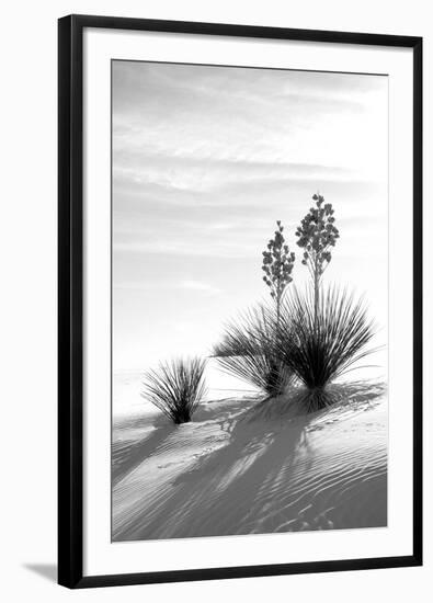 Yucca at White Sands II-Douglas Taylor-Framed Photographic Print