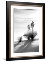 Yucca at White Sands II-Douglas Taylor-Framed Photographic Print