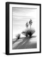 Yucca at White Sands II-Douglas Taylor-Framed Photographic Print