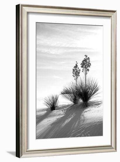 Yucca at White Sands II-Douglas Taylor-Framed Photographic Print