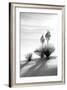 Yucca at White Sands II-Douglas Taylor-Framed Photographic Print