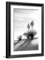 Yucca at White Sands II-Douglas Taylor-Framed Photographic Print