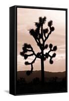 Yucca Brevifolia II-Erin Berzel-Framed Stretched Canvas