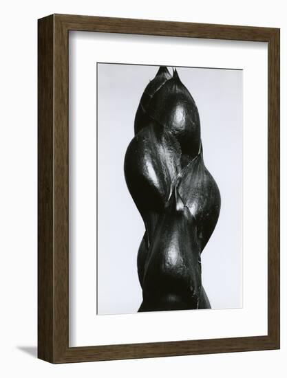 Yucca Bud, Baja, California, 1967-Brett Weston-Framed Photographic Print