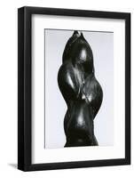 Yucca Bud, Baja, California, 1967-Brett Weston-Framed Photographic Print