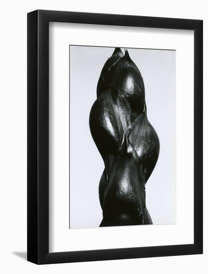 Yucca Bud, Baja, California, 1967-Brett Weston-Framed Photographic Print