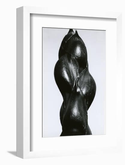 Yucca Bud, Baja, California, 1967-Brett Weston-Framed Photographic Print