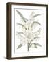 Yucca Flos - Fair-Pierre Joseph Redoute-Framed Giclee Print