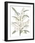 Yucca Flos - Fair-Pierre Joseph Redoute-Framed Giclee Print