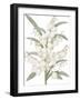 Yucca Flos - Fair-Pierre Joseph Redoute-Framed Giclee Print