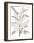 Yucca Flos - Fair-Pierre Joseph Redoute-Framed Giclee Print