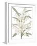 Yucca Flos - Fair-Pierre Joseph Redoute-Framed Giclee Print