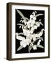 Yucca Flos - Noir-Pierre Joseph Redoute-Framed Giclee Print