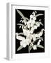 Yucca Flos - Noir-Pierre Joseph Redoute-Framed Giclee Print